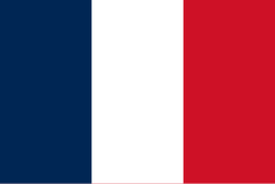 Bandeira Seleção Francesa de Futebol