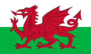 Bandeira País de Gales