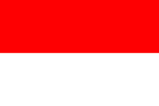 Bandeira IDN